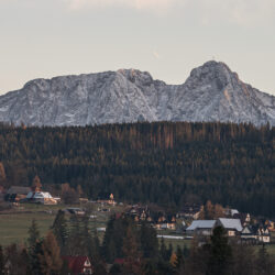 BYTOM 20.08.2025 MECZ 6. KOLEJKA BETCLIC I LIGA SEZON 2025/26 --- POLISH FIRST LEAGUE FOOTBALL MATCH: POLONIA BYTOM - POGON GRODZISK MAZOWIECKI FOT. JAROSLAW FIEDOR/400MM