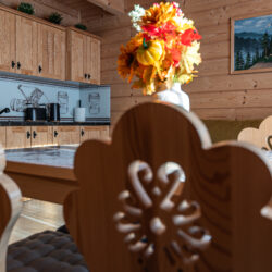 apartament 3 osada witów domek we wsi apartament 3 salon