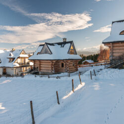 osada witów na zewnątrz zimą